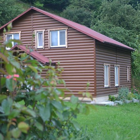 Pid Lisochkom Werchowyna Exterior foto